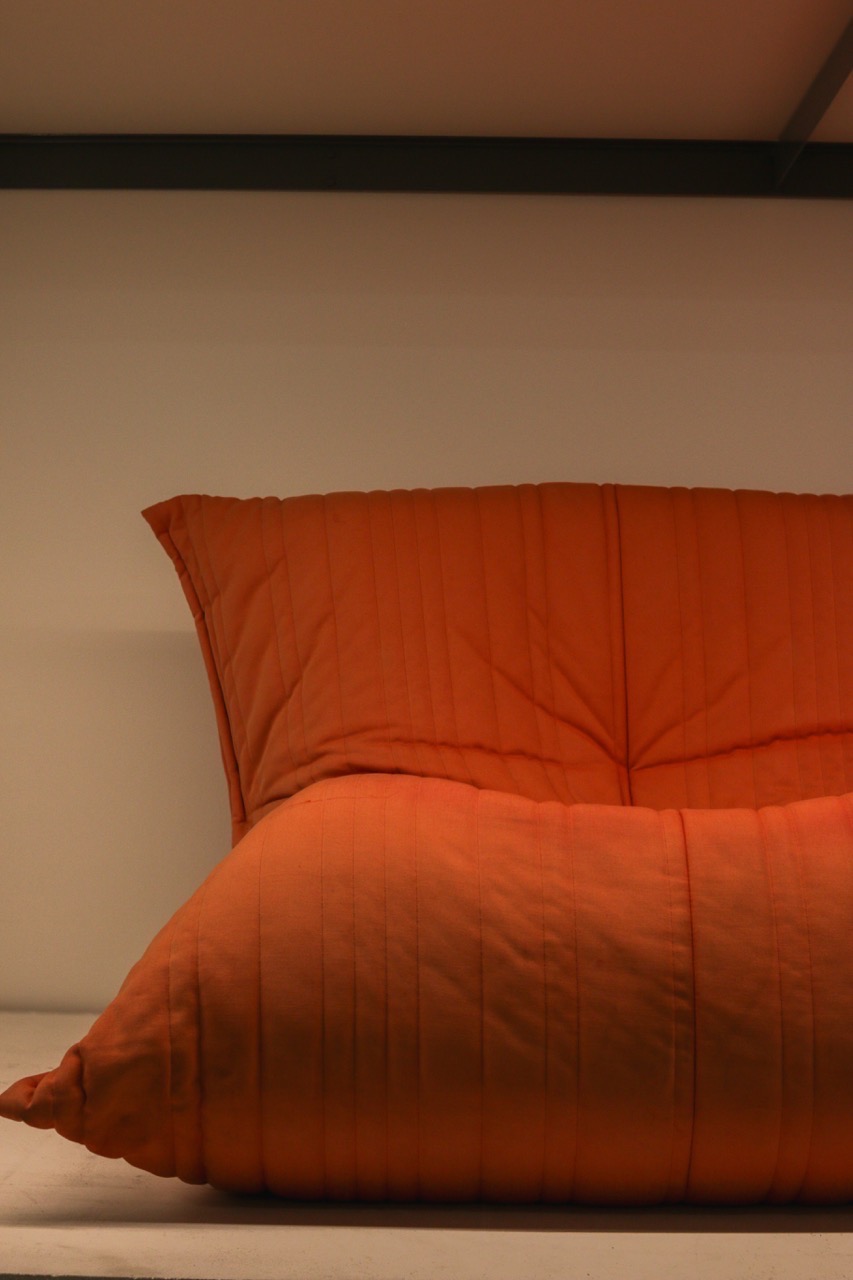 Portfolio Image